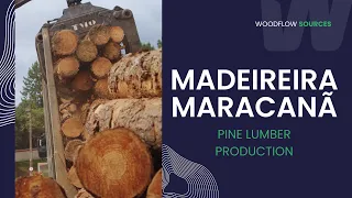 Inside Madeireira Maracanã: A Journey into Pine Lumber Production