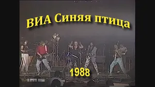 Синяя птица 1988 // Концерт //