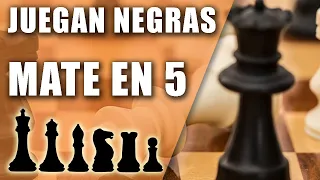 Juegan negras y hacen mate en 5 movimientos ¿Lo puedes resolver?