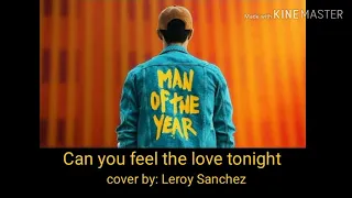 Can you feel the love tonight Lyrics (covered by: Leroy Sanchez)