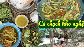 CÁ CHẠCH KHO NGHỆ - Ăn vừa bổ vừa mê | Đặc sản miền sông nước