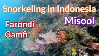 Farondi/Gamfi, Misool, Raja Ampat - 4K Snorkeling in Indonesia