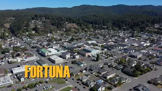 Humboldt Aerial Shots - Fortuna, CA