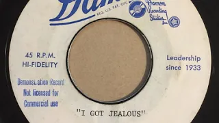 The Ferraris - I Got Jealous