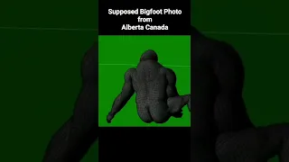 Bigfoot photo from Alberta Canada