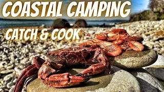 COASTAL CAMPING / CATCH AND COOK / WILD CAMPING ON A BEACH / COASTAL FORAGING