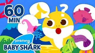 Where is Baby Shark's Tail? | +Compilation | Sing Along with Colors | Baby Shark Official