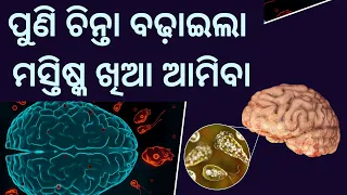 Brain-eating amoeba kills Kerala Girl | Bibhuti Sir