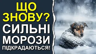 В Україну йдуть сильні морози: Погода у січні 2024