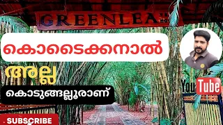 Tree house | Kodungallur | Thrissur | #Shiju'svlog #Malayalamyoutubevideos