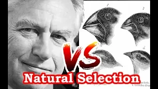 Richard Dawkins challenges Natural Selection