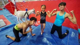 LITTLE SISTER vs. GOAT GYMNASTICS COMPETITION!