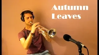 Autumn Leaves - Standard Jazz  [TRUMPET]