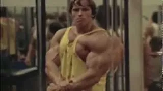 BODYBUILDING MOTIVATION 2013 HD NEW