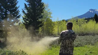 Does Expired Bear Spray Still Work?