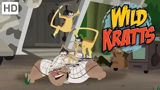 Wild Kratts - Animal Rescue Mission Activated!