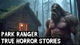 2 Hours Of TRUE Disturbing Park Ranger Horror Stories Told In The Rain (Dogman,Sasquatch,Wendigo...)