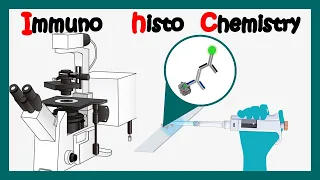 Immunohistochemistry | How to perform immunohistochemistry? | application of immunohistochemistry