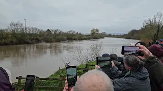 The Severn Bore at Minsterworth - 12 March 2024