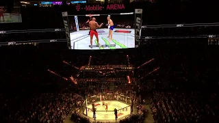 Robert Whittaker vs Yoel Romero UFC 213 (Live @ T-Mobile Arena 2017-07-08)