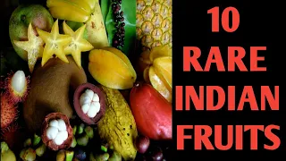 10 rare Indian fruits || Unique fruits|| Food secrets||