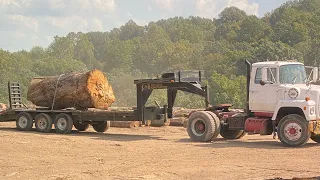 Watch!! Before you buy a Woodmizer LT 70 super hydraulic!