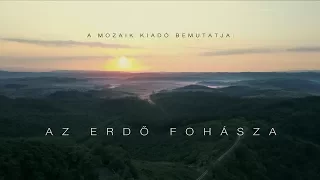 Az erdő fohásza | 4K