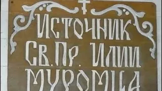 Родник, Святой источник преподобного Ильи Муромца.  Район Карачарово,  город Муром.