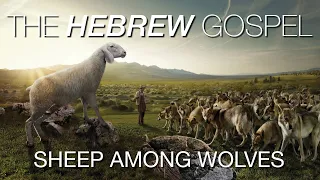 The HEBREW Gospel of Matthew: SHEEP AMONG WOLVES (10:1-10:21)