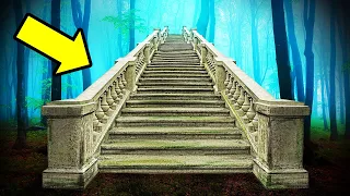 Why Abandoned Stairs Keep Appearing in Woods Randomly
