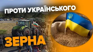 Проблеми європейських фермерів через УКРАЇНСЬКЕ ЗЕРНО - де шукати компроміс? Анджей Шептицький