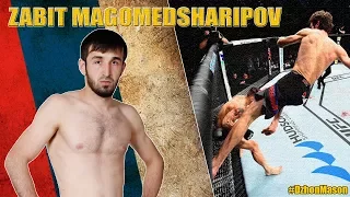 ZABIT MAGOMEDSHARIPOV - Highlights/Knockouts | Забит Магомедшарипов