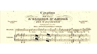 L'Elisir d'Amore: Udite, udite, o rustici - Adamo Didur (1916)