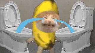 ❤️🚽 BANANA CAT 🍌🐱 TIKTOK COMPILATION 🚽❤️