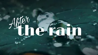 (After the rain) Cinematic short film by Mohammed Rifan