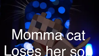 Talking kitty cat in Minecraft-58 momma cat loses her son