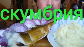 МУКБАНГ СКУМБРИЯ И ПЮРЕ |  ОБЖОР / MUKBANG Smoked Mackerel with Potatoes