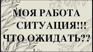 Гадание на РАБОТУ🔔 КАК РАЗРЕШИТСЯ СИТУАЦИЯ/Таро/Тиана Таро