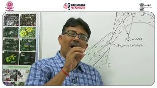 Migration of petroleum hydrocarbon