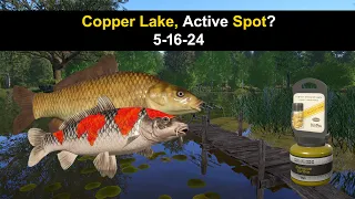 Russian Fishing 4, Copper Lake, Active Spot? 5-16-24 (Trip Preview)