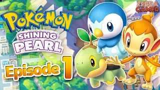 Pokemon Brilliant Diamond and Shining Pearl Gameplay Walkthrough Part 1 - Sinnoh Region! Piplup!