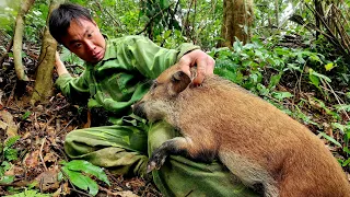 FULL VIDEO : 150 days, survival alone, skills, boar traps, survival instincts