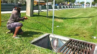 SEWER FISHING for BIG Exotic FISH!