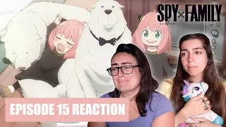 SPY X FAMILY Reaction 1x15 "A NEW FAMILY MEMBER"