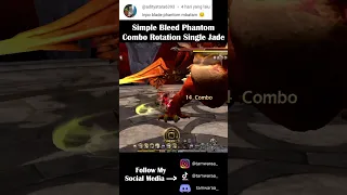 Simple Bleed Phantom Rotation Combo Single Jade - Dragon Nest