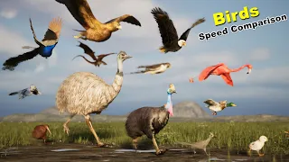 Birds Speed Comparison in 3D | Most Fastest birds | Fictional | Extinct birds | dragons