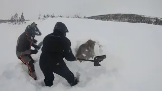 Snowmobilers Rescue Moose Buried in Snow || ViralHog