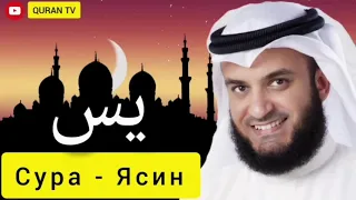 📹 Сура  Ясин   Мишари Рашид#سورة ياسين مشاري راشد#Sura Yasin Mishary Rashid → #quran