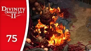 This is what the Void does - Let's Play Divinity: Original Sin 2 #75