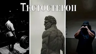 Тестостерон|Гармон мужества|Как поднять уровень тестостерона|Что убивает тестостерон?